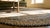 1930s Multicolor Abstract Folk Art Antique American Round Braided Rug 8' X 8' Cotton Carpet For Sale - Image 14 of 14