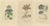 Drapiez, Heritage Blossoms, 1845, Hand-Colored Engravings, Set of 3 For Sale