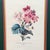 Wood Grand Scale French Framed Botanical Set by Pierre-Joseph Redouté Reproduction Prints - Set of 3 For Sale - Image 7 of 8