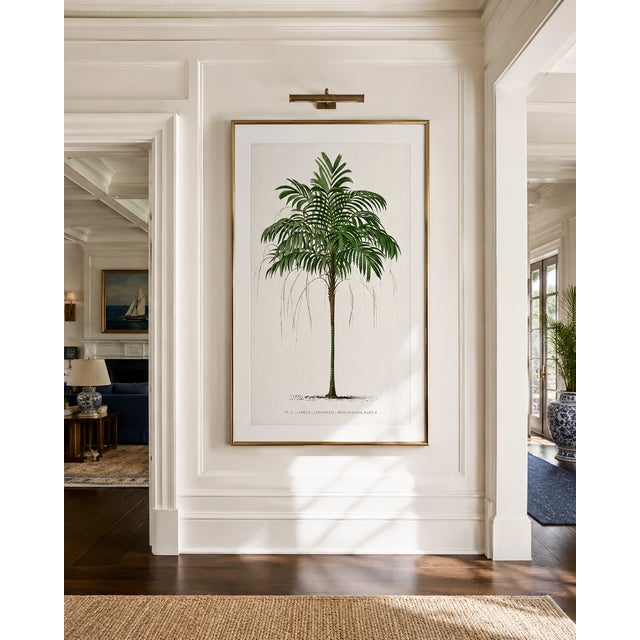 Not Yet Made - Made To Order Royal Palm Study, Vintage Botanical Art Print Reproduction, 16" X 24" For Sale - Image 5 of 10