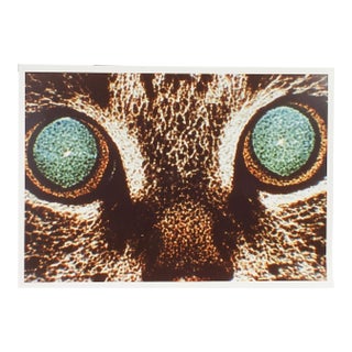Vintage Abstract Cat Eyes Richard Bray Photograph For Sale