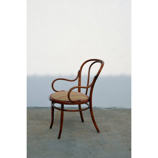 Art Nouveau 1900s Vintage Slender Bentwood Dining Set by Thonet- Set of 4 For Sale - Image 3 of 9