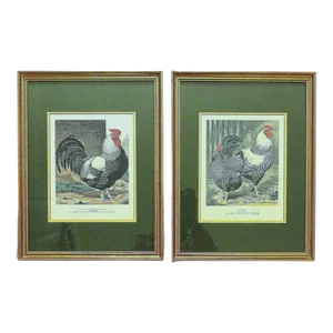 Pair of Antique Portrait Prints of Prize Rooster / Cock & Hen Farmhouse