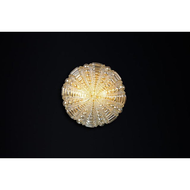 Mid-Century Modern Amber Glass Wall Lights attributed to Kaiser Idell / Kaiser Leuchten, Germany, 1960s For Sale - Image 12 of 13