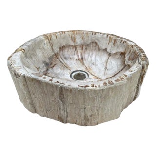 Andrianna Shamaris Petrified Wood Sink For Sale