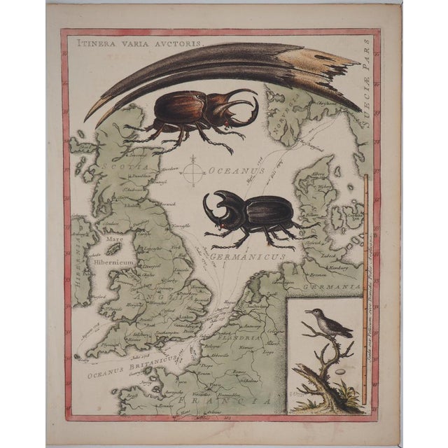 George Edwards, Animals of the Journey, Etching For Sale - Image 6 of 6