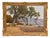 Emilio Filippini, Seascape and Olive Trees, 20th Century, Oil on Canvas For Sale