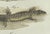 Gray Bertuch, Four Exotic Lizards, 1802, Engraving For Sale - Image 8 of 9