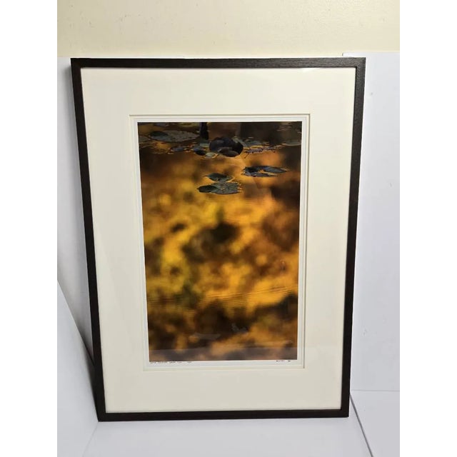 Late 20th Century Late 20th Century Bill Pusztai Signed Limited Edition "Seattle Japanese Garden" Photograph & "Black Locust" Botanical Print - Framed Pair For Sale - Image 5 of 16