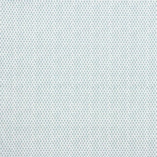 Sister Parish Burmese Fabric in Seafoam (Linen/Cotton Blend) For Sale