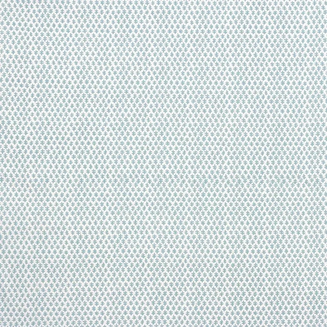Sister Parish Burmese Fabric in Seafoam (Linen/Cotton Blend) For Sale