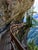 Les Bisses is an original photograph on Pearl photographic paper realized by the artist Cindi Emond in 2016. Edition of 10...