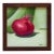 "Red Onion" by Jackie Kane - Contemporary Original Still Life Oil Painting, Framed For Sale
