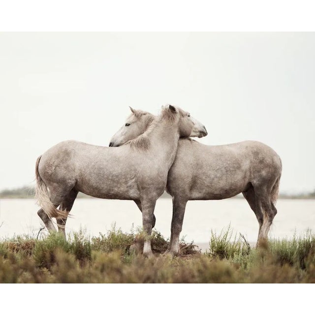 Embrace by Irene Suchocki Print, 20" x 25" For Sale