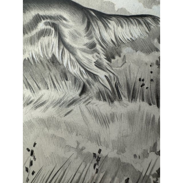 Illustration 1940s Original Signed Graphite Illustration of English Setter in Woodland Landscape, 11.75 × 9 In. For Sale - Image 3 of 6