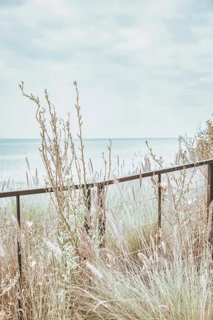 Malibu Mornings, Limited Edition Photography by Kristin Hart