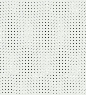 Sample - Hinson for The House of Scalamandré Lee Wallcovering, Black on White