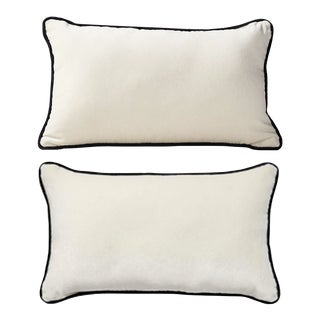 Pair of Brand New Discontinued Cb2 Bronte Velvet Lumbar Pillows - Outdoor Suitable For Sale