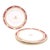 Set of Four Davenport Staffordshire Plates, Circa 1840 For Sale