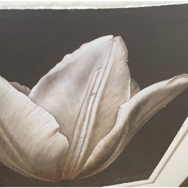1990s 1990s John Matthew Moore "Madonna Tulipa" Signed Framed Limited Edition Print - 28/245 For Sale - Image 5 of 8