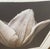 1990s 1990s John Matthew Moore "Madonna Tulipa" Signed Framed Limited Edition Print - 28/245 For Sale - Image 5 of 8