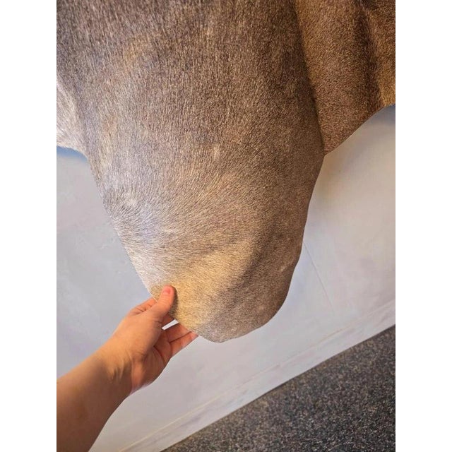 Large Beige and Brown Cowhide Rug For Sale - Image 6 of 18