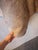 Large Beige and Brown Cowhide Rug For Sale - Image 6 of 18
