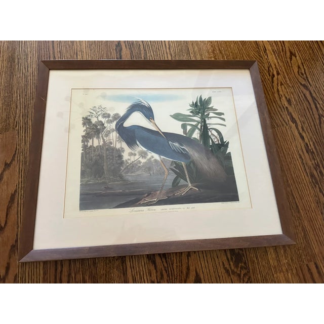 John James Audubon Great Blue Heron by John James Audubon – Original Mid-19th Century Lithograph, Framed For Sale - Image 4 of 7