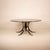 T69 Table by Osvaldo Borsani and Eugenio Gerli for Tecno Spa, 1950s For Sale - Image 3 of 18