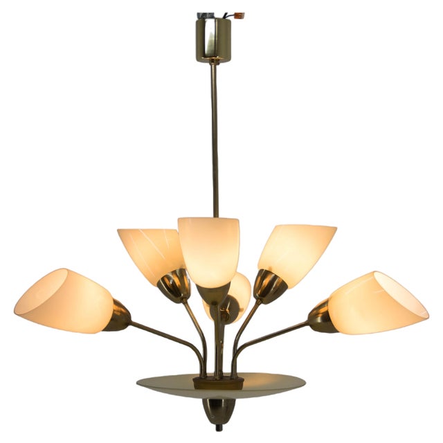 Mid-Century Chandelier attributed to Kamenicky Senov, Former Czechoslovakia, 1950s For Sale