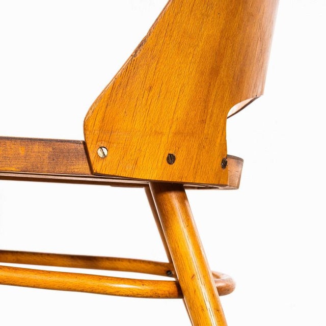 Honey Beech Dining Chairs by Radomir Hoffman, 1950s, Set of 4 For Sale - Image 10 of 12