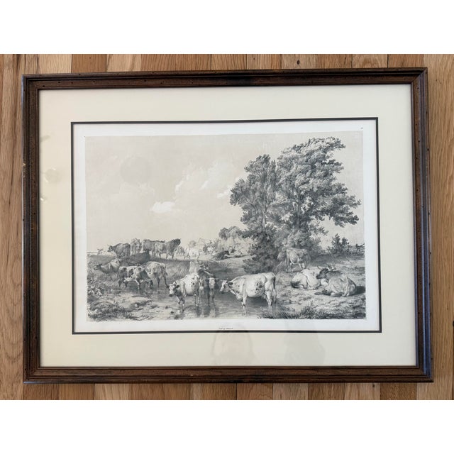 1838 lithograph by TS Cooper, #19 printed by Charles Hullmandel. Print features cattle standing near a tree in a river....