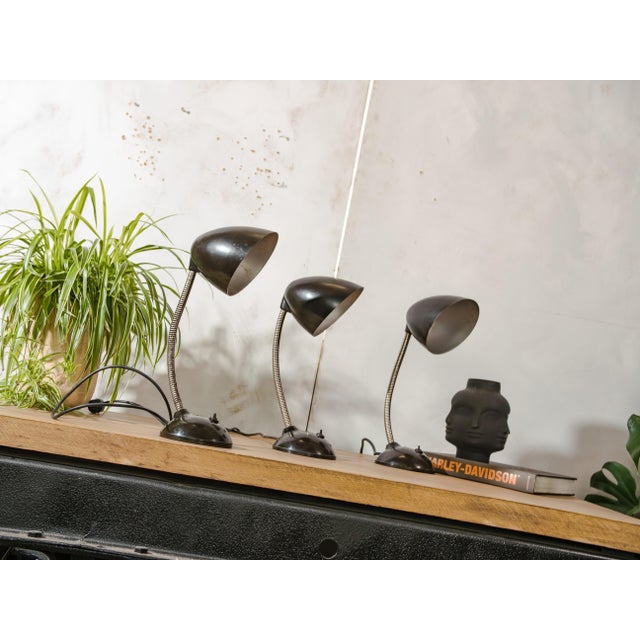Bauhaus Vintage Cole Bakelite Lamp by Eric Kirkman, 1950s, Set of 3 For Sale - Image 3 of 15
