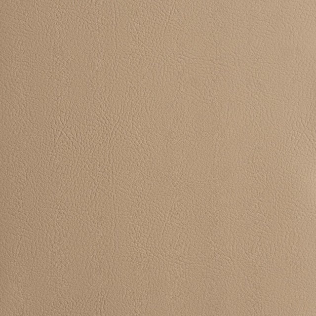 2020s Schumacher Vegan Leather Indoor/Outdoor Fabric In Buff For Sale - Image 5 of 5