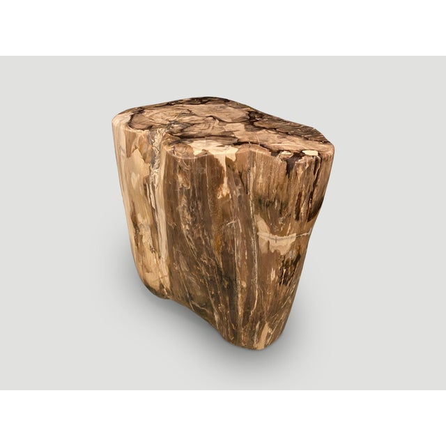 Contemporary Andrianna Shamaris High Quality Petrified Wood Side Table For Sale - Image 3 of 5