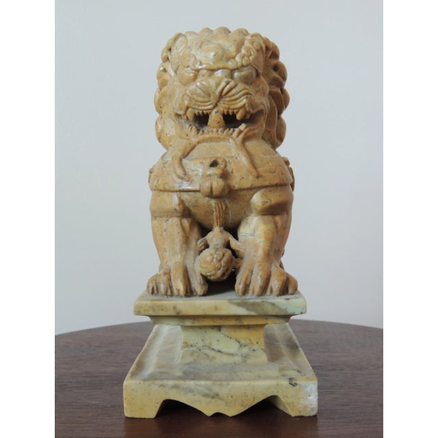 Mid 20th Century Natural Stone Asian Female Fu Dog For Sale - Image 13 of 13