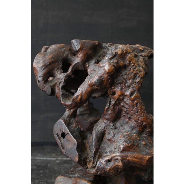 Antique Japanese Burl Wood Display Stand / Meiji-Showa / Organic One-of-a-Kind For Sale - Image 11 of 18