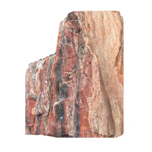15th Century & Earlier Petrified Wood Sculpture, Organic Modern Design, #2 For Sale - Image 5 of 13