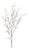 Pine Branch (Set of 12) For Sale