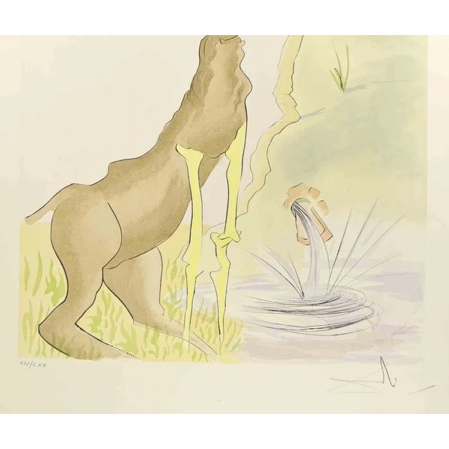 Modern Salvador Dali, The Stag Reflected in the Water, Etching, 1974 For Sale - Image 3 of 4