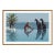 Slim Aarons 'Pantz Pool' Archival Pigment Print Framed in Brown For Sale