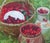 Vintage Still Life Oil Painting: Cherries, Basket, Ukrainian Art 60-70 For Sale - Image 4 of 6