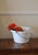 Industrial Rare Antique Gebruder Baumann Enameled Steel Slop Bucket W/ Recessed Lid For Sale - Image 3 of 7
