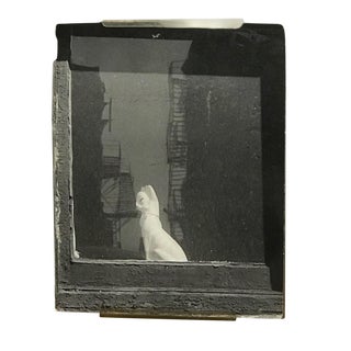 1970s "Porcelain Cat in the Window" Black and White Photograph For Sale