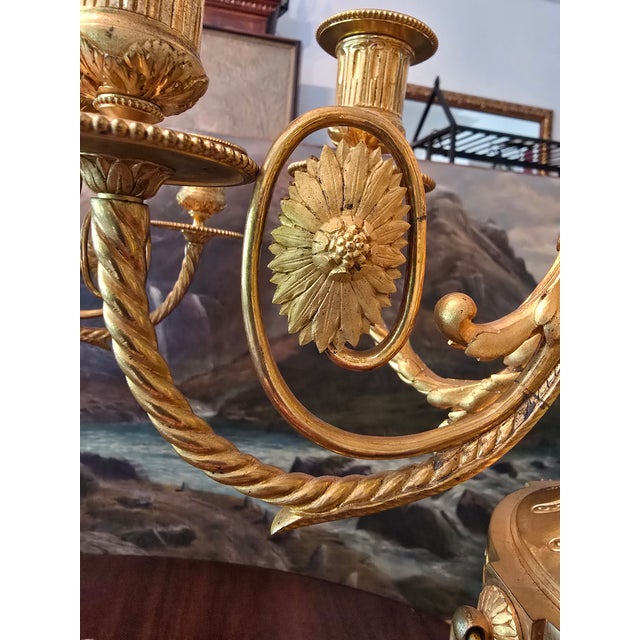 Antique Louis Xv Royal Bronze Pair Gilded Lamps Candleabra - a Pair For Sale - Image 15 of 17