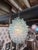 Vintage Clear Pendant of Hand-Blown Glass For Sale - Image 10 of 14