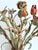 Italian Hand-Painted Tôle Rose Bouquet Two-Light Wall Sconce, 1950s For Sale - Image 3 of 15