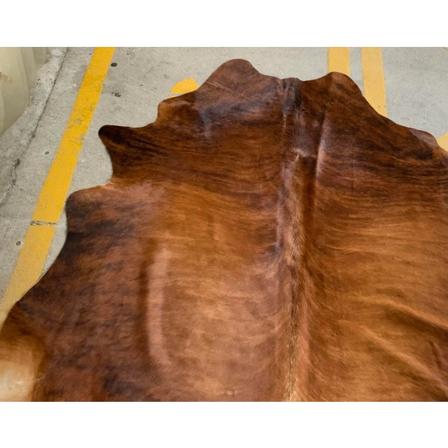 Modern Modern Brindle Hair on Hide For Sale - Image 3 of 5