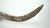 Early 20th Century Batak Carved Medicine Horn For Sale - Image 9 of 12