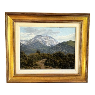 Original Stephen Smalzel Framed Oil Painting on Board 'Rocky Mountains' For Sale